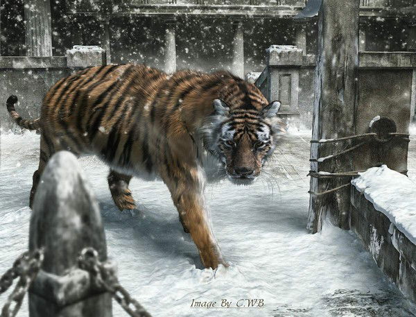 Алексей Духанин