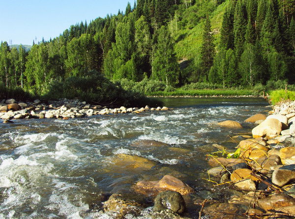 Татьяна Серова