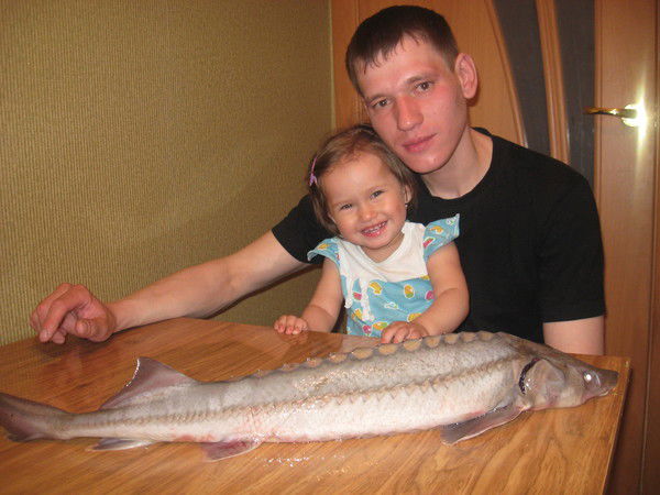 Дмитрий Пушкарский