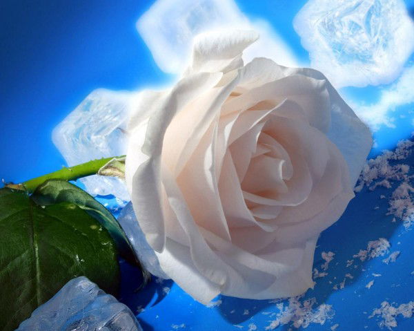 Гульнар Умарова