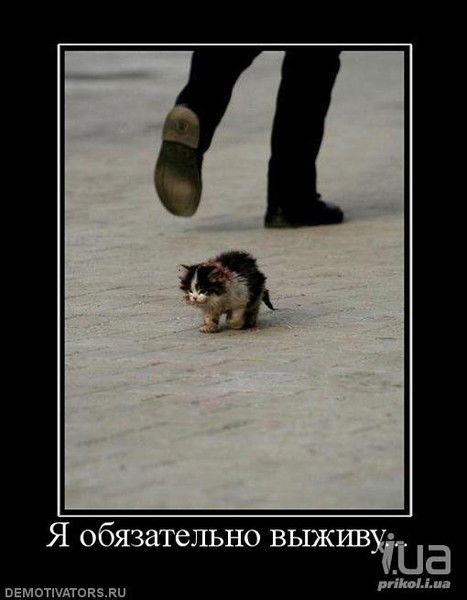 Эльза Дусмирова