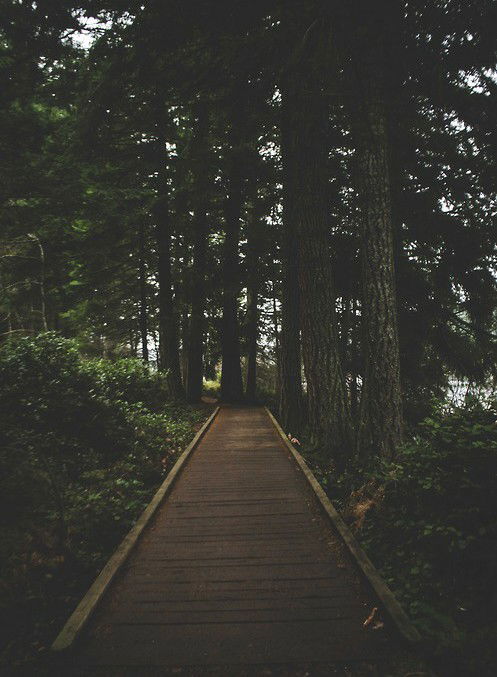 Ксения Литвинова