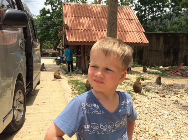 Юлия Красильникова