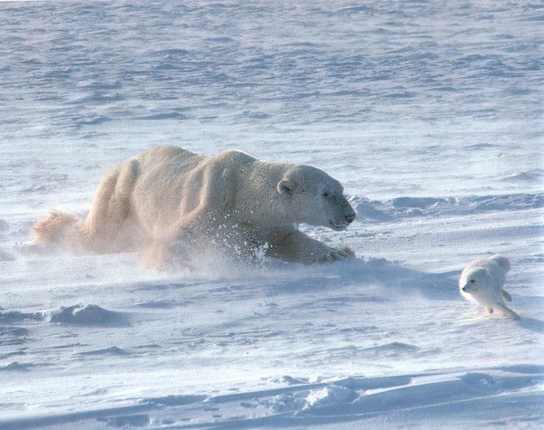 Мельниченко Михаил