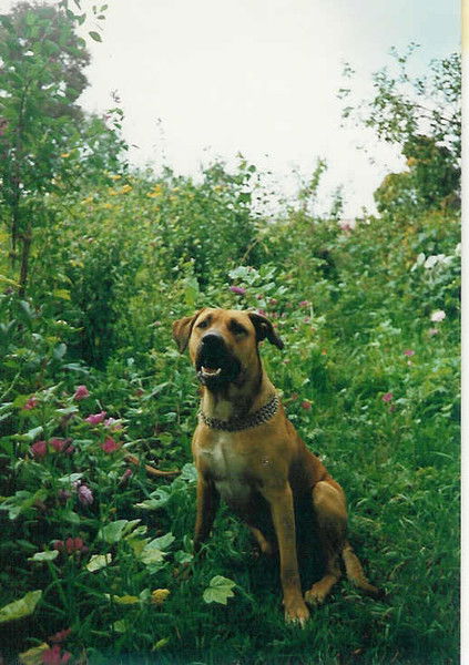 Александр Gr_Av