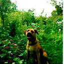 Александр Gr_Av