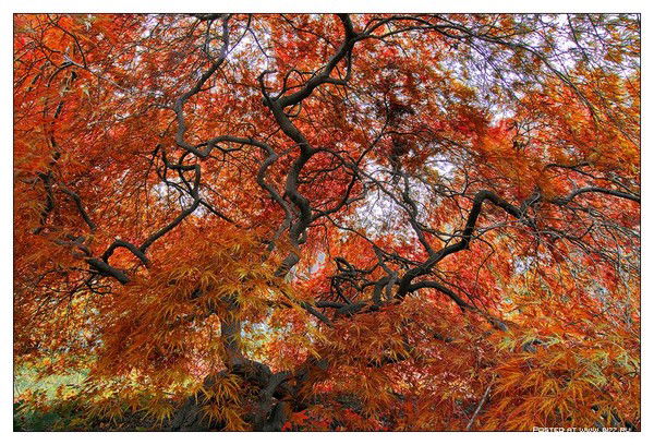 Светлана Коробкина