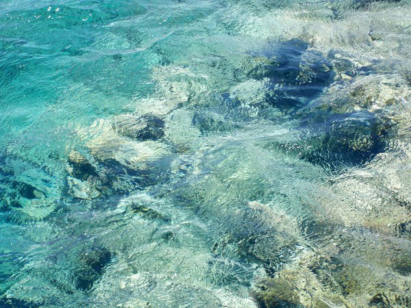 Ольга Сильченко