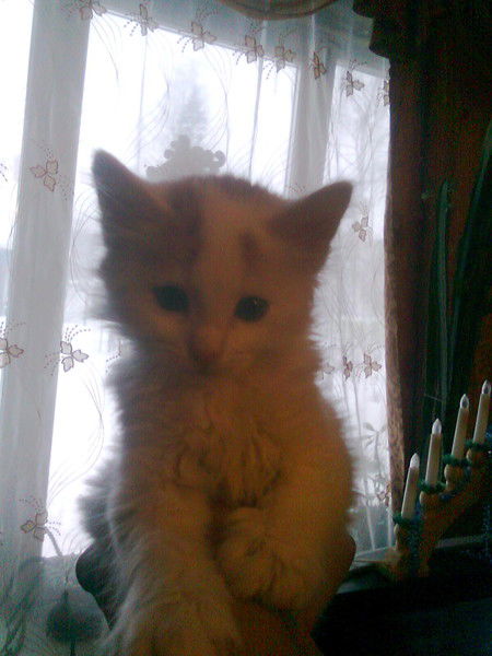 Александр Миронов