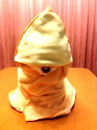 Вася Сковородин