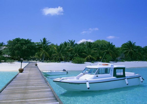 Юлия Перепелкина