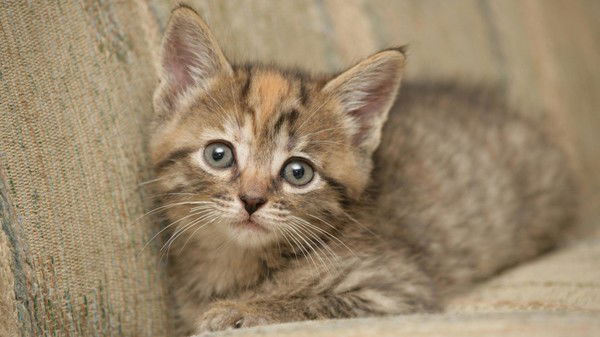 Марина Зикунова