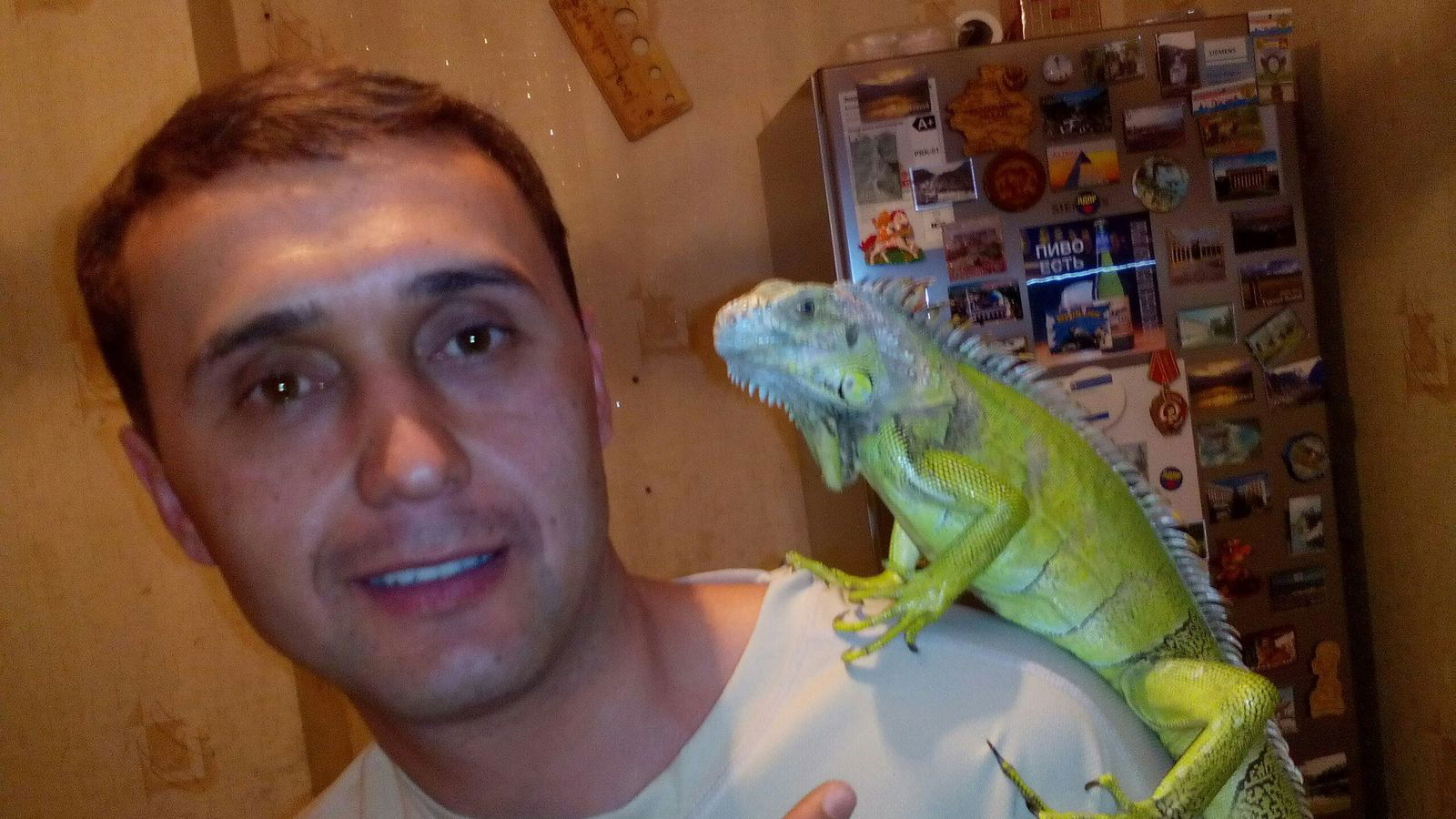 Иван Арапов