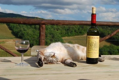 Сергей Коханенко