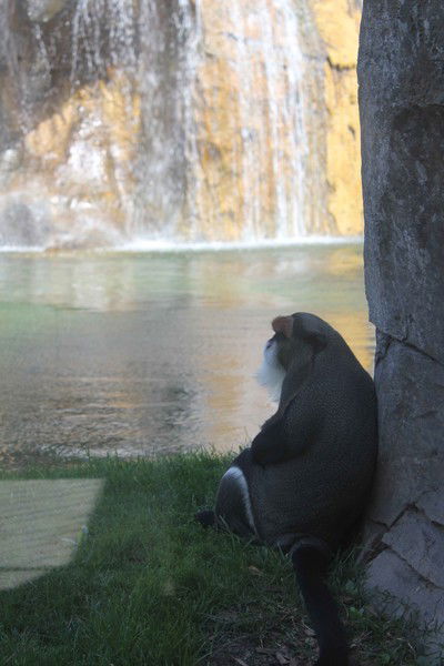 Вася Иванов