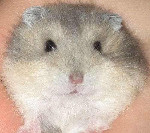 Юрий Федько