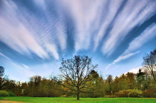 Вера Сереброва