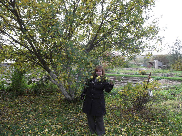 Ольга Ветринская