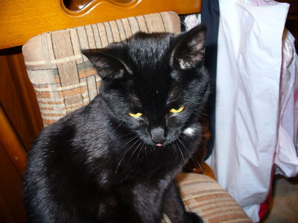 Марина Белимова