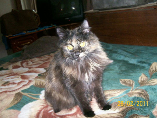 Ольга Анисимова