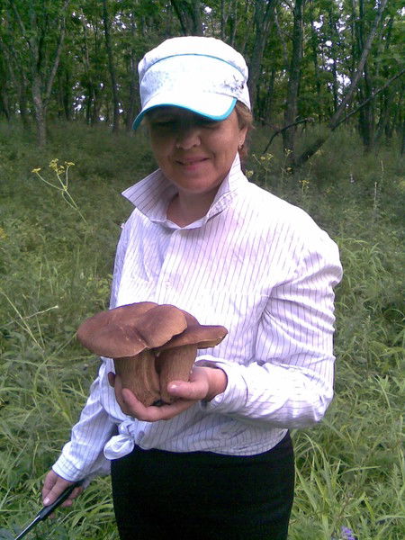 Марина Шевченко