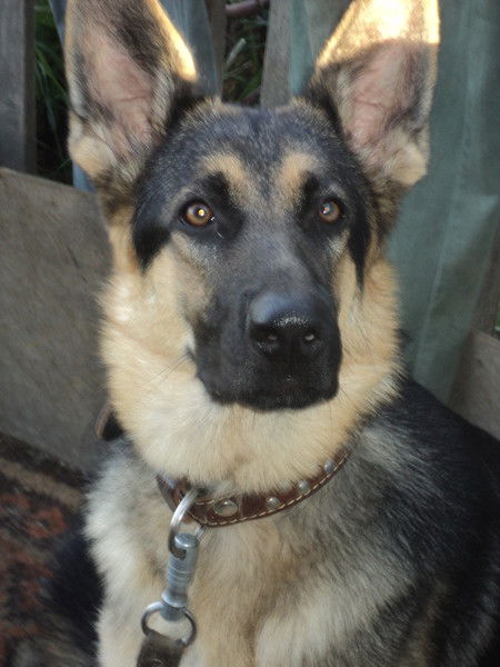 Анастасия Ивановна