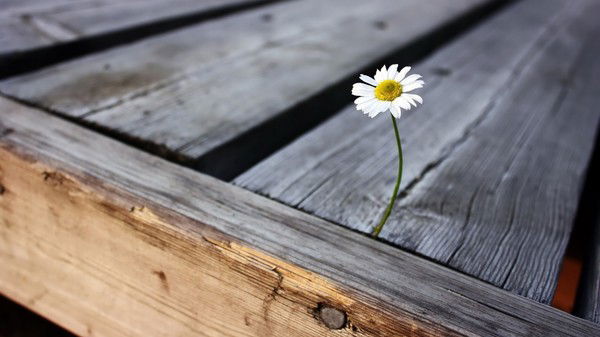 Исакова Дарига