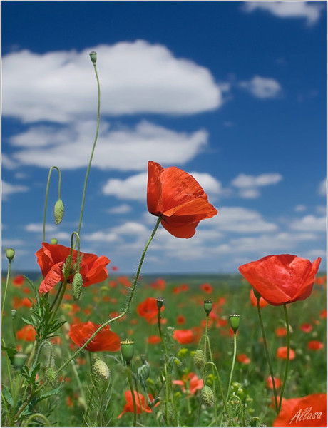 Татьяна Кузнецова