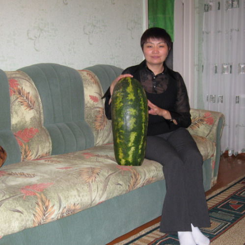 Карлыгаш Асембаева