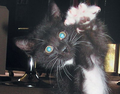 Юля Тихонова