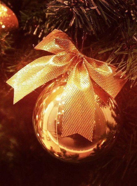 Елена Степанова