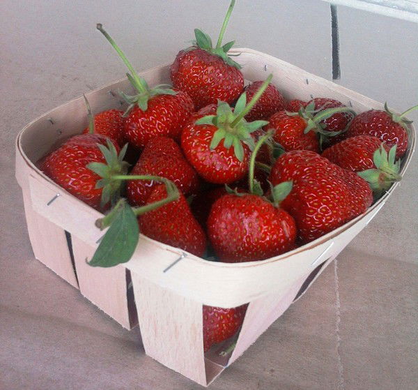 Елена Мартынюк