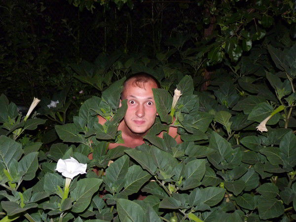 Денис Безус