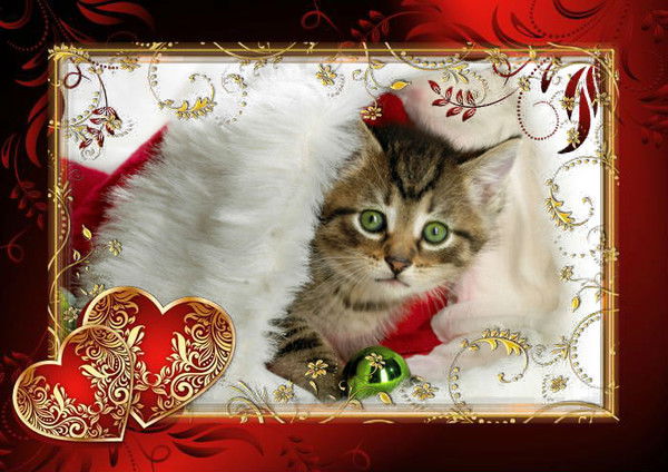 Иван Сусанин