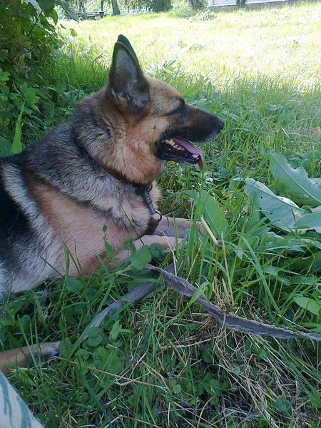 Свет@лана!!! Azimut