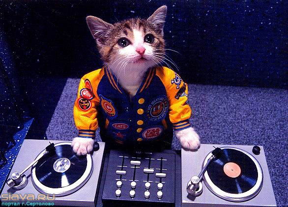 Александр Новиков