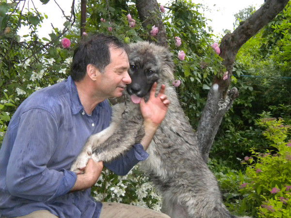 Владимир Гнатенко