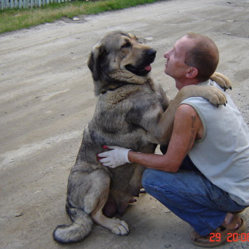 Гордеев Олег