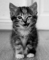 Андрей Олчонов