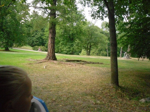 Ирина Коношенкова