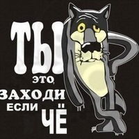 Андрей Степанов