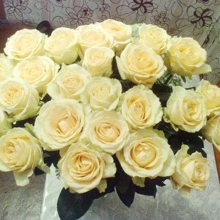 Алия Актаева