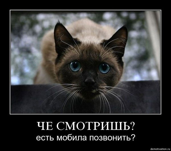 Сергей Чинчикеев