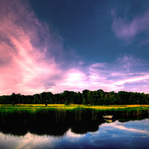 Андрей Липчанский