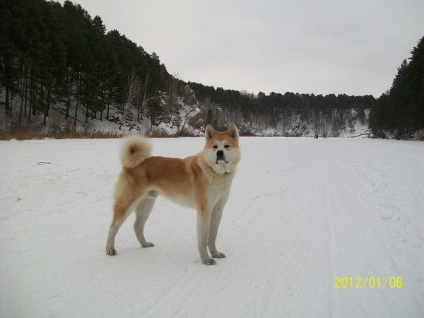 Лена Шумкова