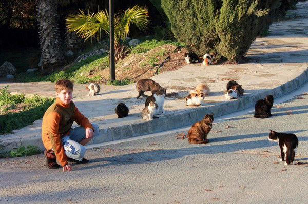 Даниил Голыжбин