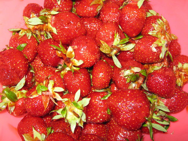 Татьяна Поздеева