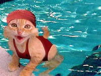 Леонид Ковригин