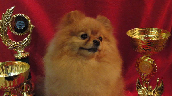 Татьяна Пименова