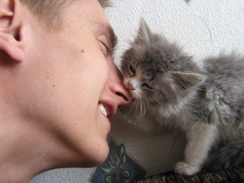 Александр Сычугов